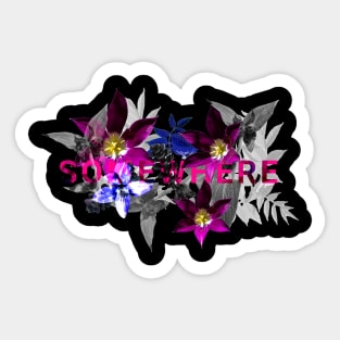 Somewhere Sticker